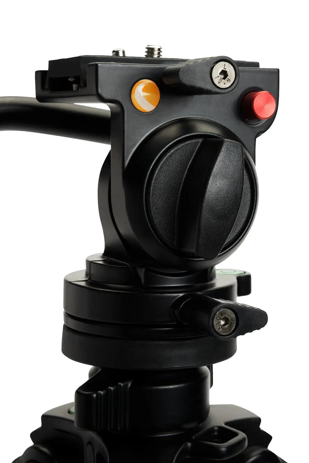 Regal Premium Tripod by Celestron