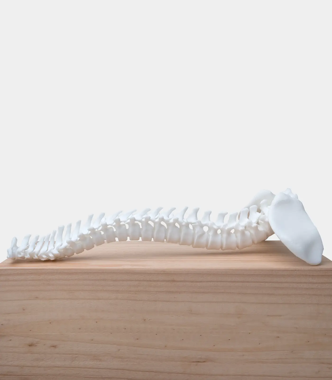 Phrozen Engineering Rigid Ceramic Resin White by Phrozen