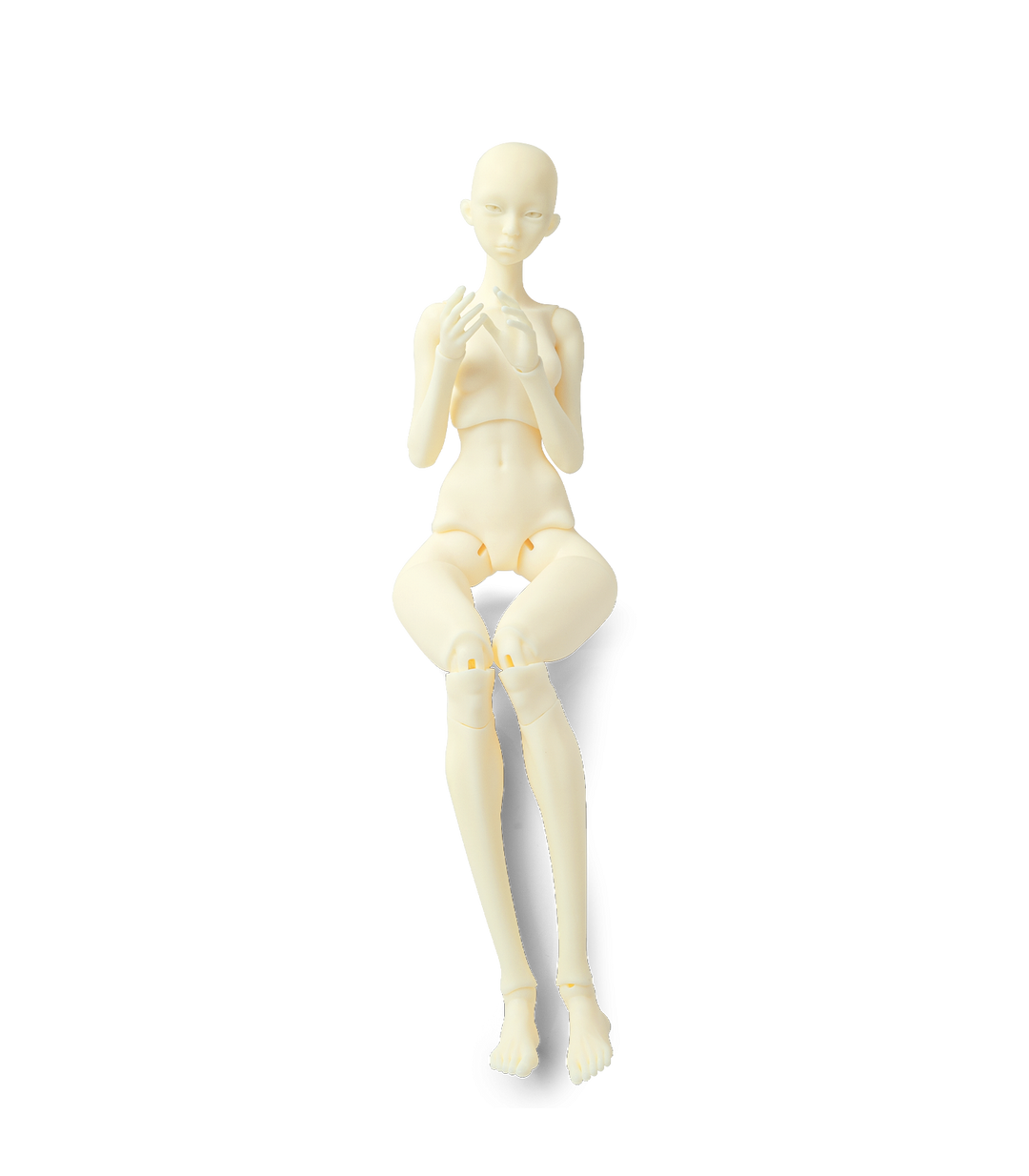 Phrozen High-Resolution BJD Resin by Phrozen