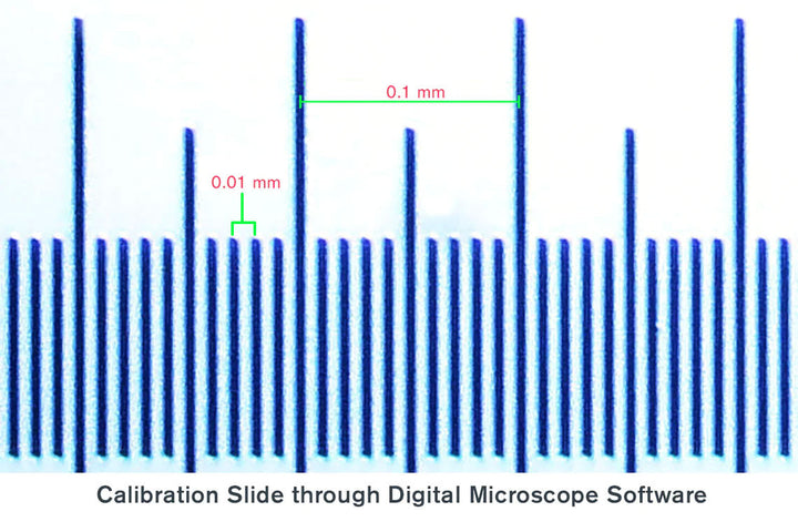 Microscope Calibration Slide by Celestron