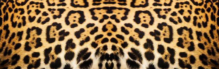 Orion mPulse® Vinyl Skins by Sunstone Permanent Jewelry
