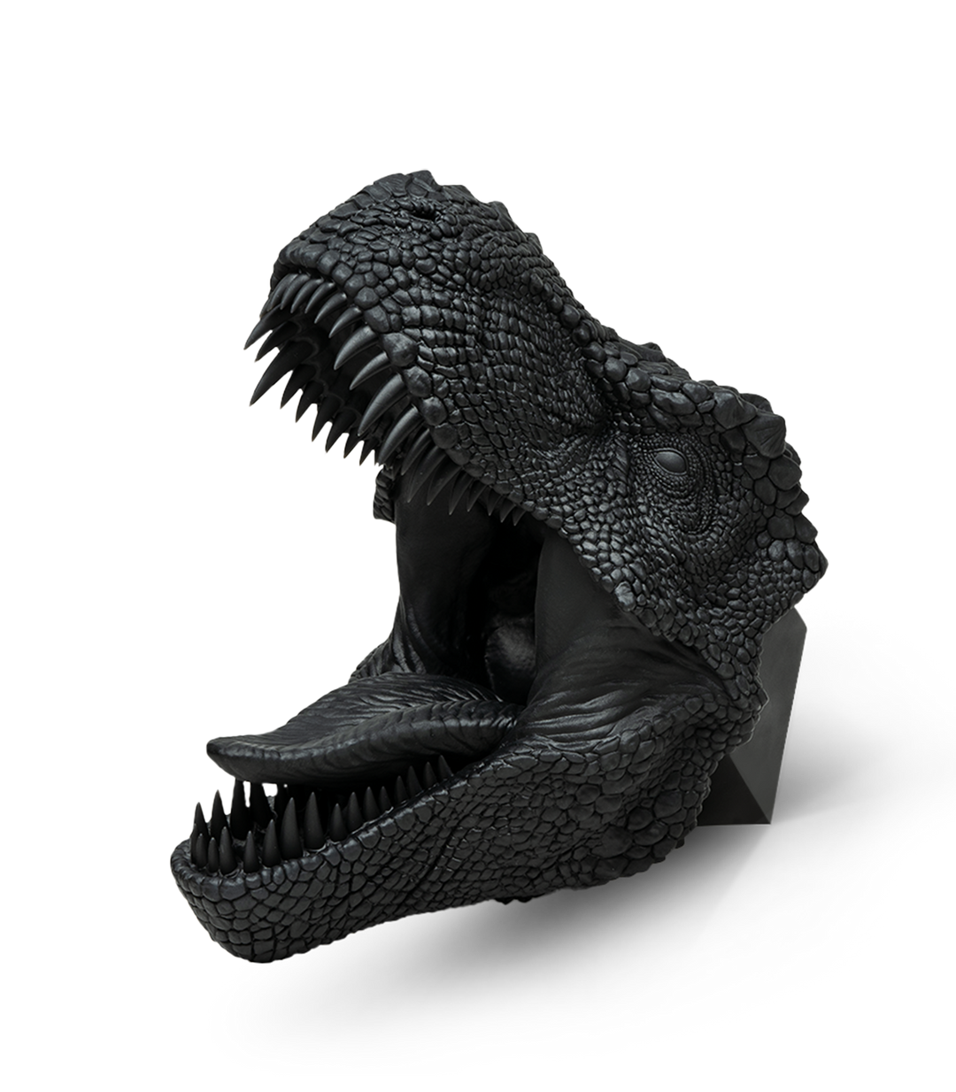 Phrozen Standard Speed Plus Resin by Phrozen