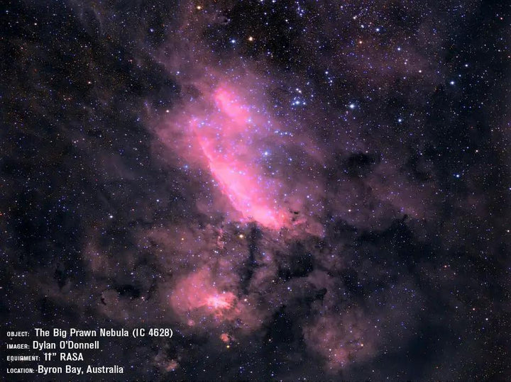 CGX 11" Rowe-Ackermann Schmidt Astrograph (RASA) Equatorial Telescope by Celestron