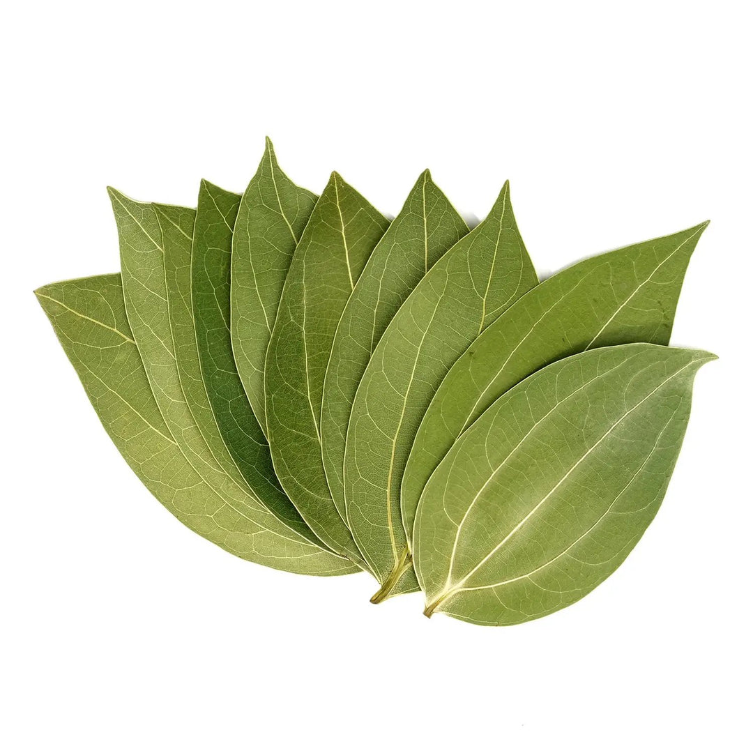 Cinnamon Leaf for Engraving (10pcs) by LaserPecker